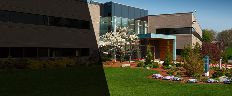 Signal Hill Landscapers