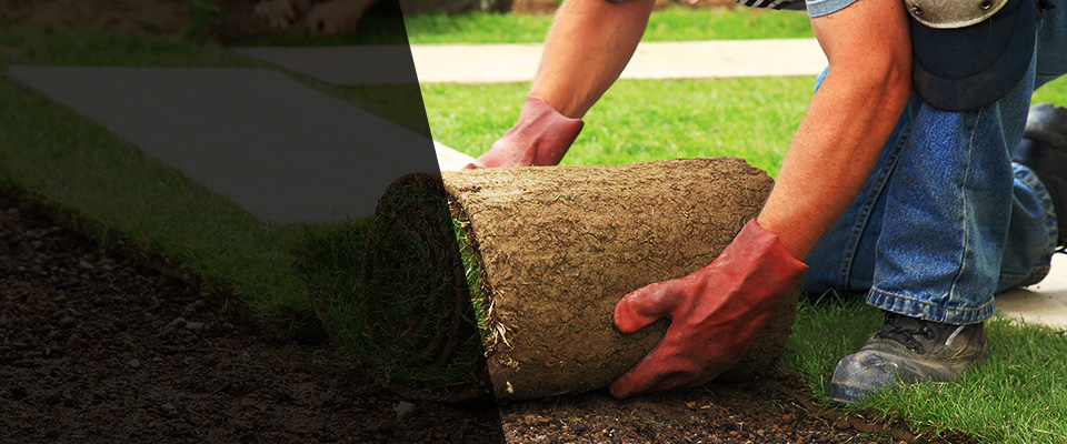 Signal Hill Landscapers